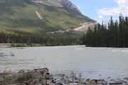 03 - Athabasca Falls - IMG_1060